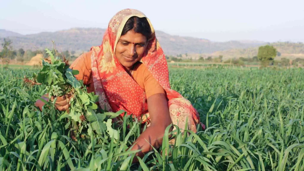 Sustainable Agriculture