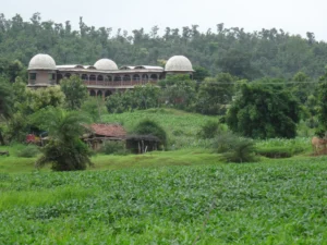 One Star in Field & Forest - SPS